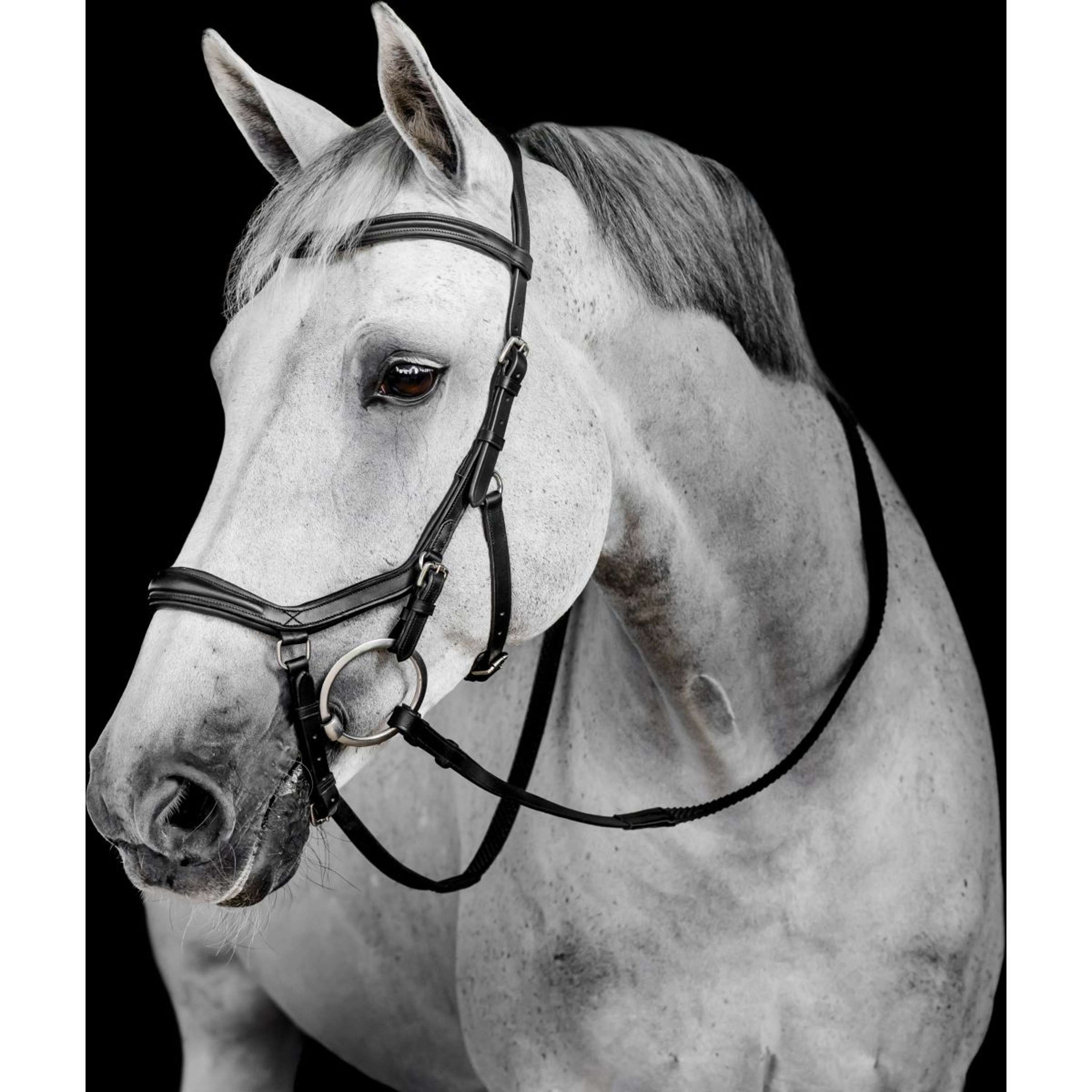 Horseware Micklem Deluxe Competition Bridle Noir