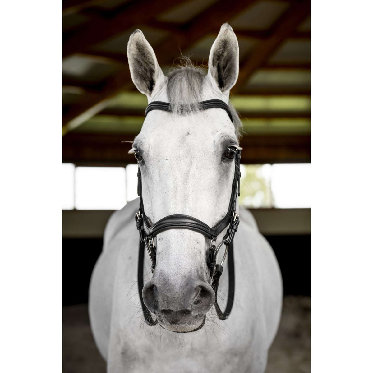 Horseware Micklem Deluxe Competition Bridle Noir