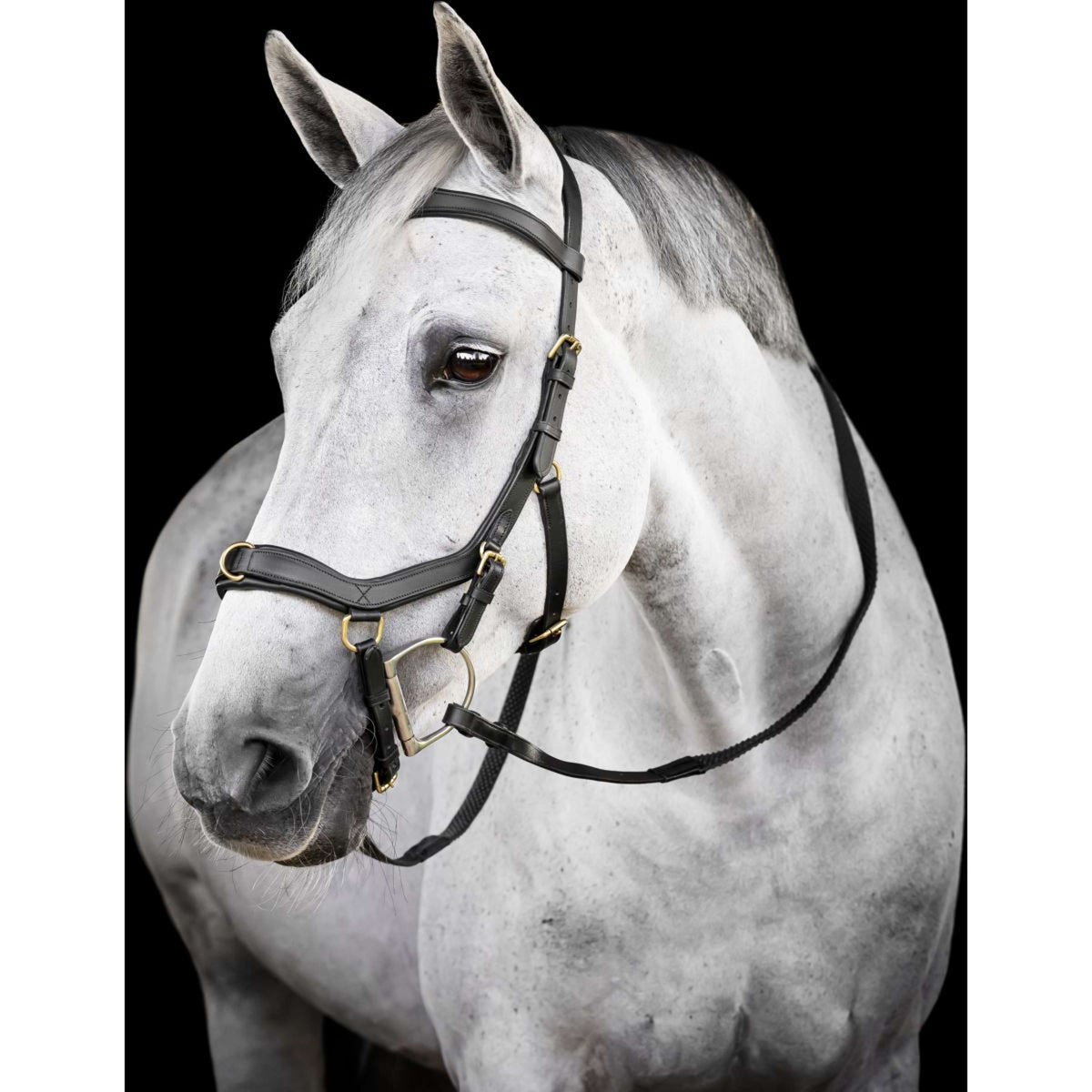 Horseware Micklem Multi Bridle Noir