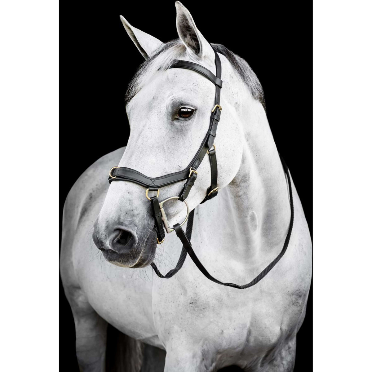 Horseware Micklem Multi Bridle Noir