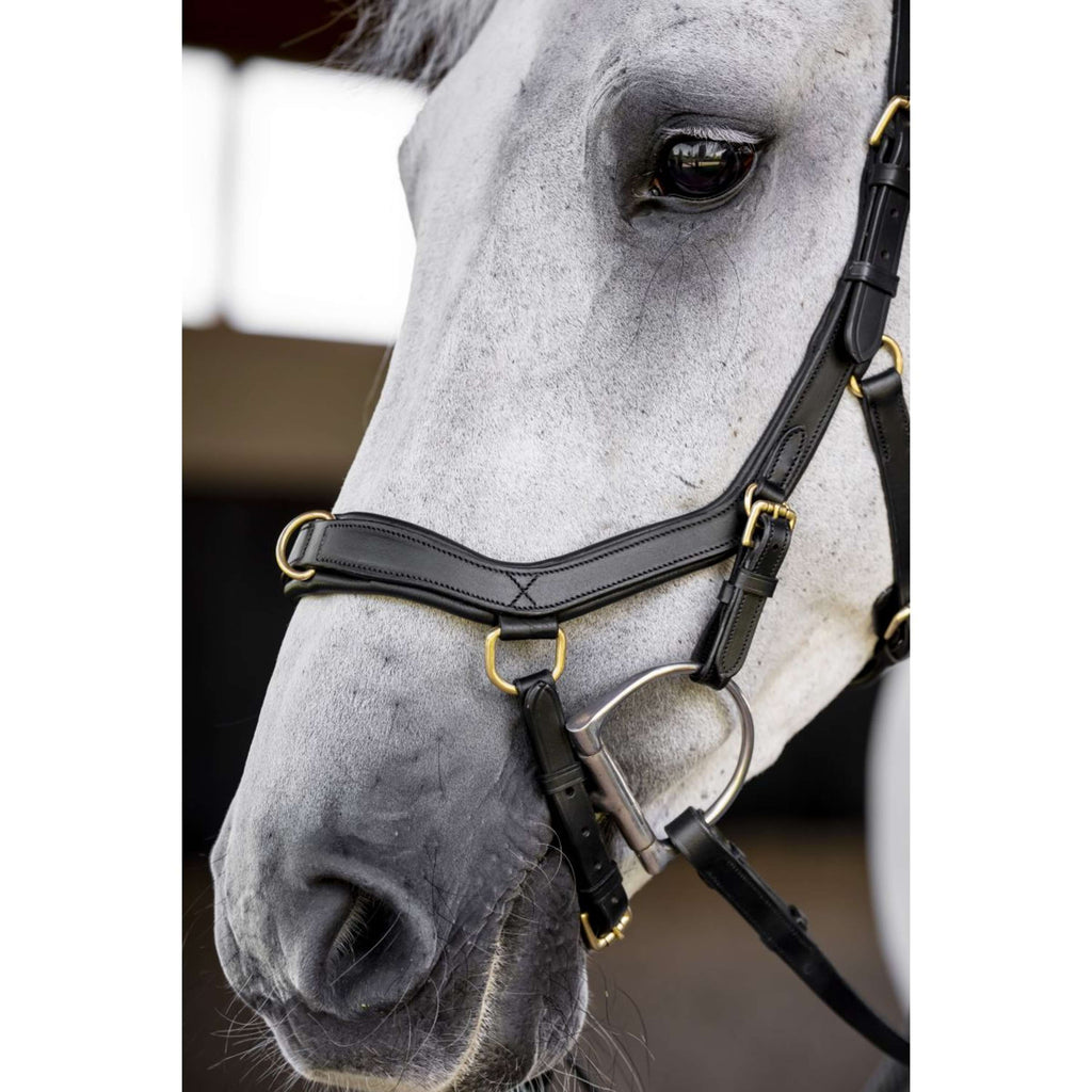 Horseware Micklem Multi Bridle Noir