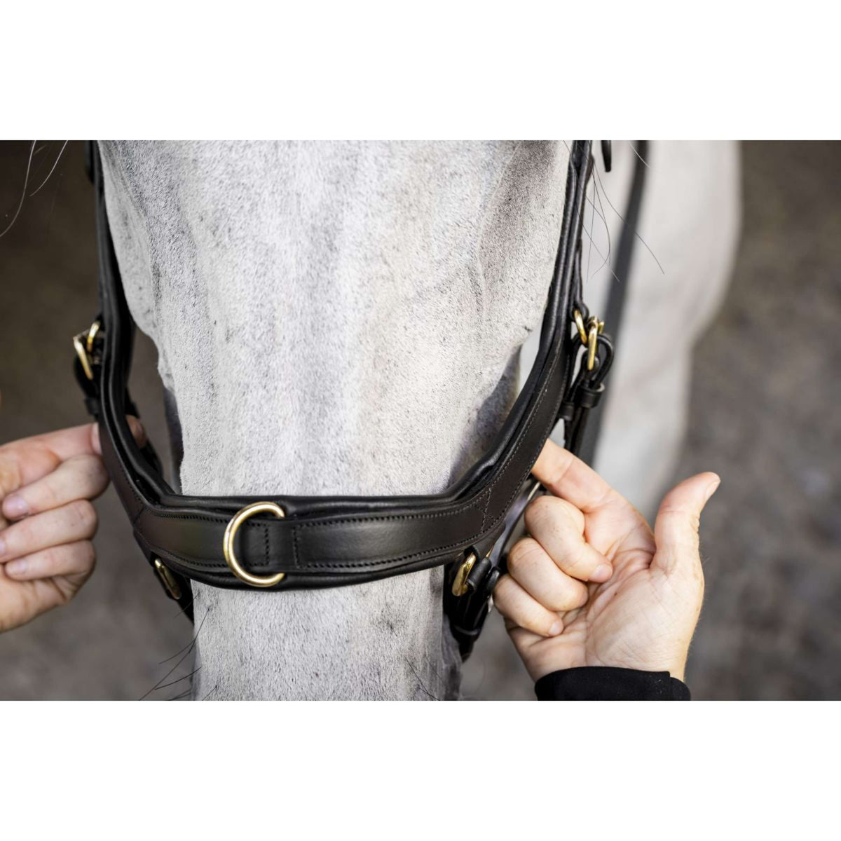 Horseware Micklem Multi Bridle Noir