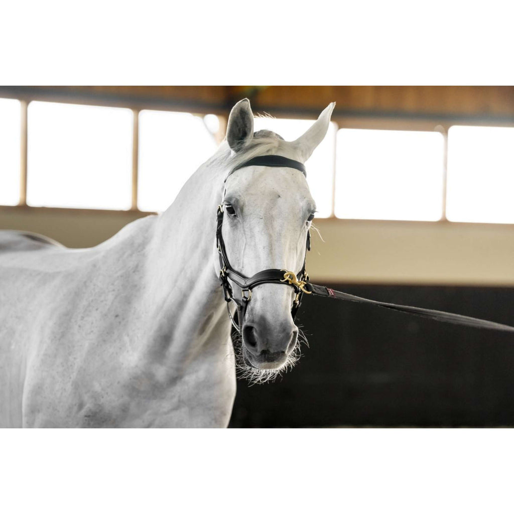 Horseware Micklem Multi Bridle Noir