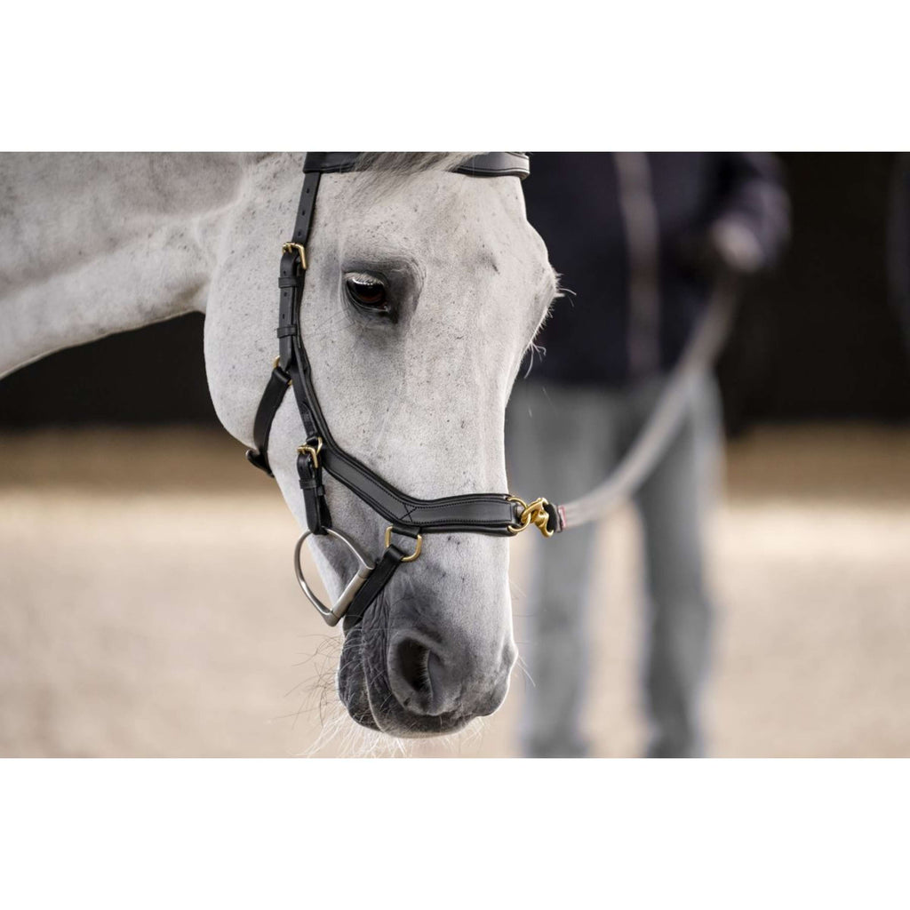 Horseware Micklem Multi Bridle Noir