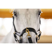 Horseware Micklem Multi Bridle Noir