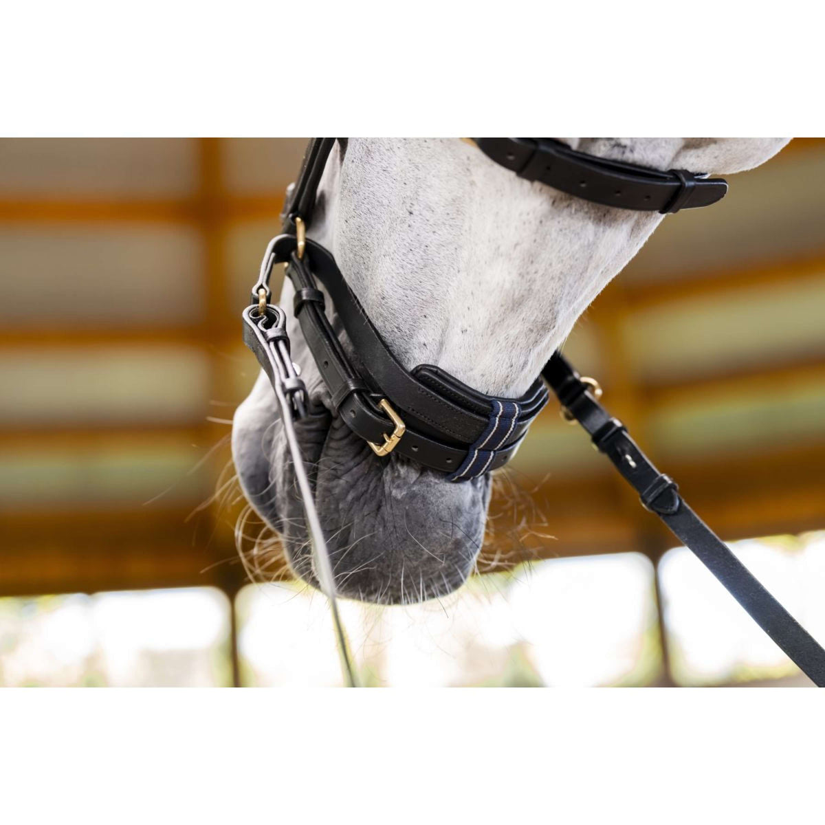 Horseware Micklem Multi Bridle Noir