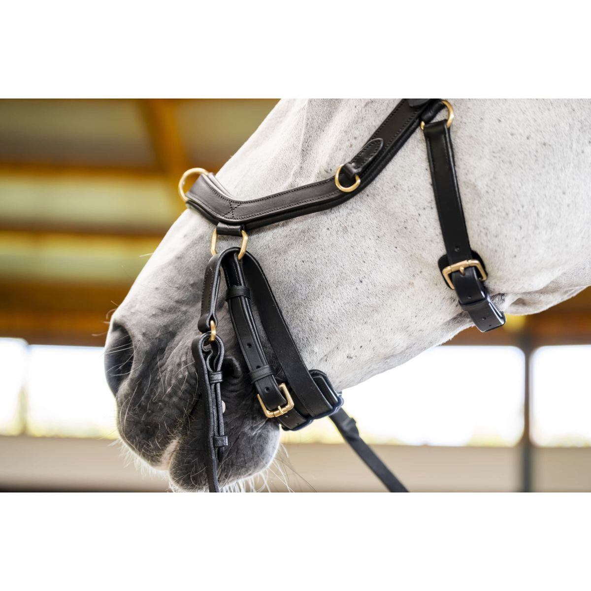 Horseware Micklem Multi Bridle Noir