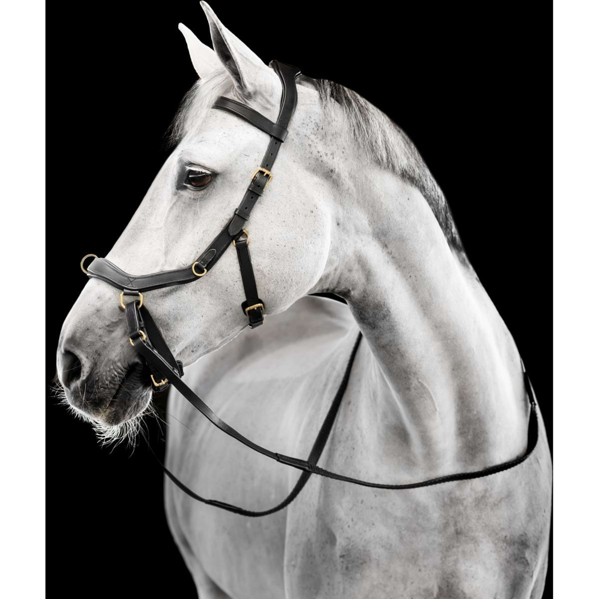 Horseware Micklem Multi Bridle Noir