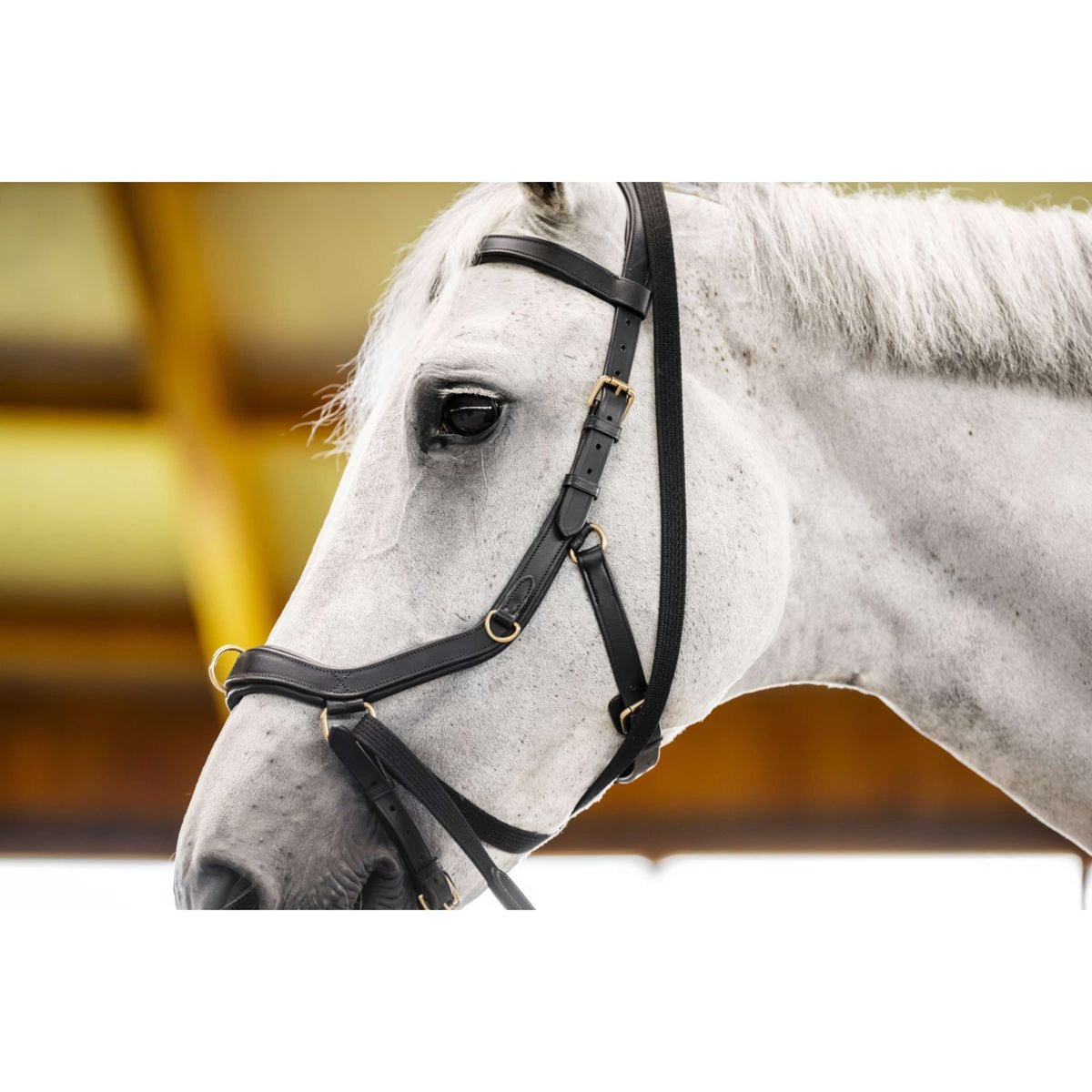 Horseware Micklem Multi Bridle Noir