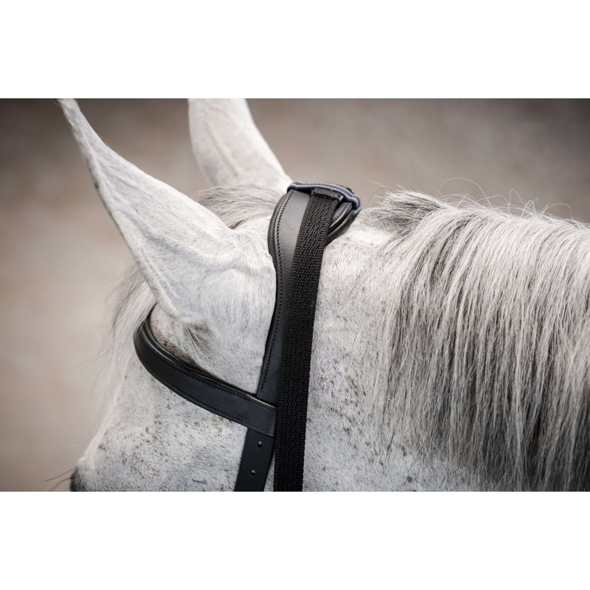 Horseware Micklem Multi Bridle Noir