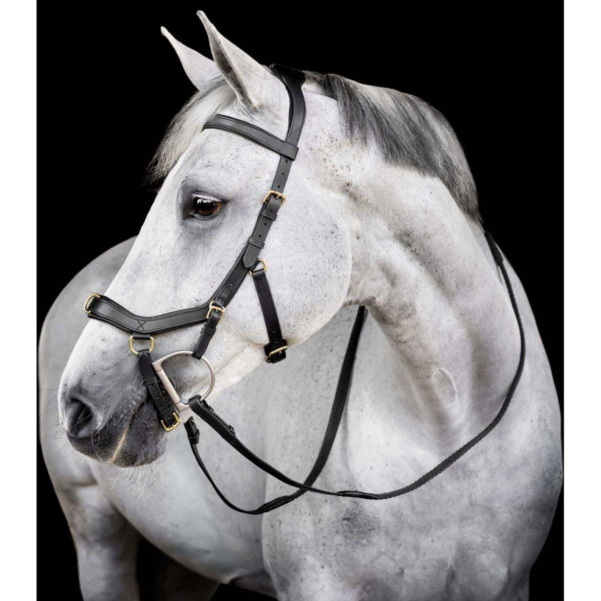Horseware Micklem Multi Bridle Noir