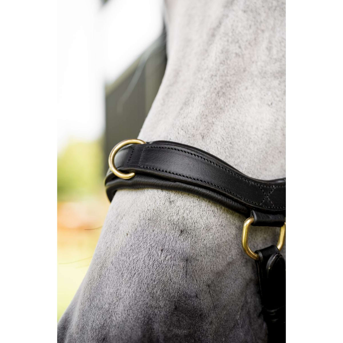 Horseware Micklem Multi Bridle Noir