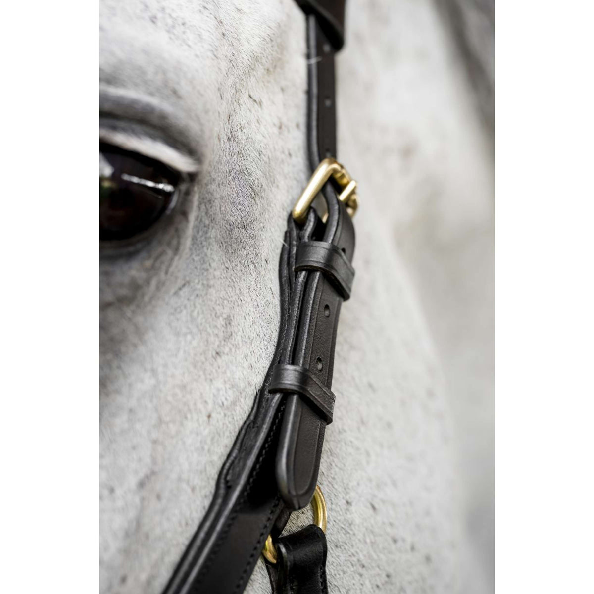 Horseware Micklem Multi Bridle Noir