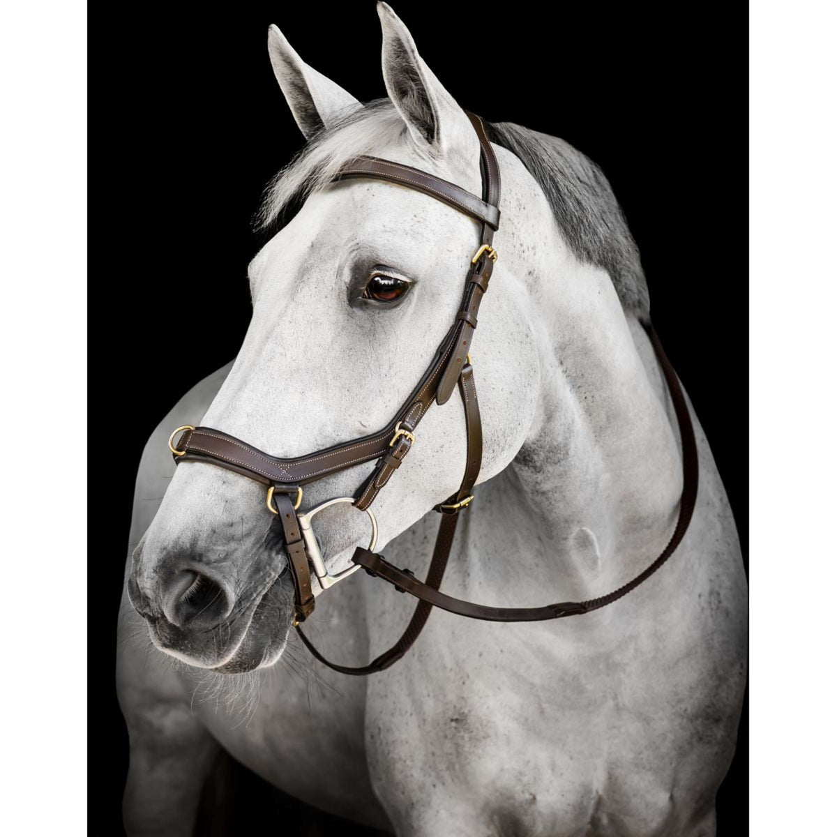 Horseware Micklem Multi Bridle Dark Havana
