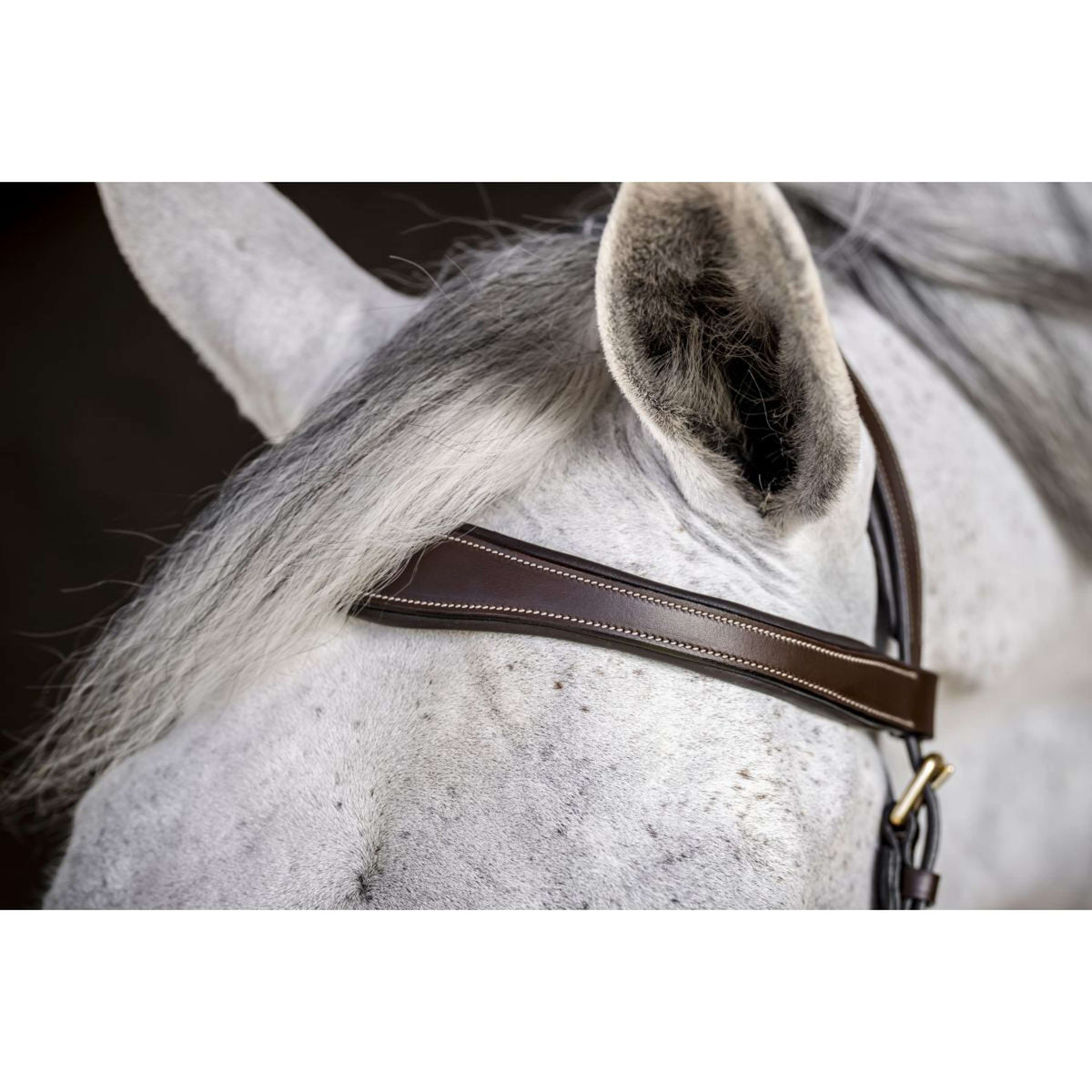 Horseware Micklem Multi Bridle Dark Havana