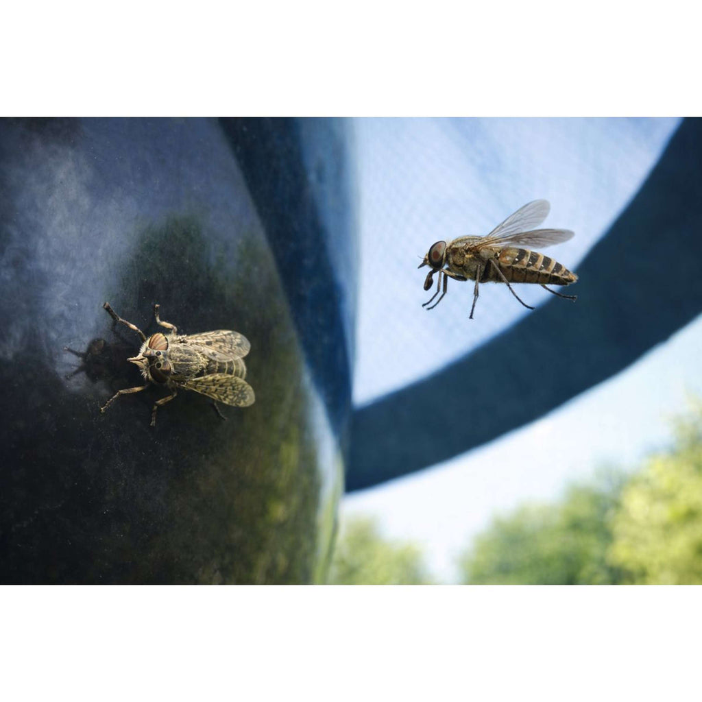 H-Trap Piège à Insectes