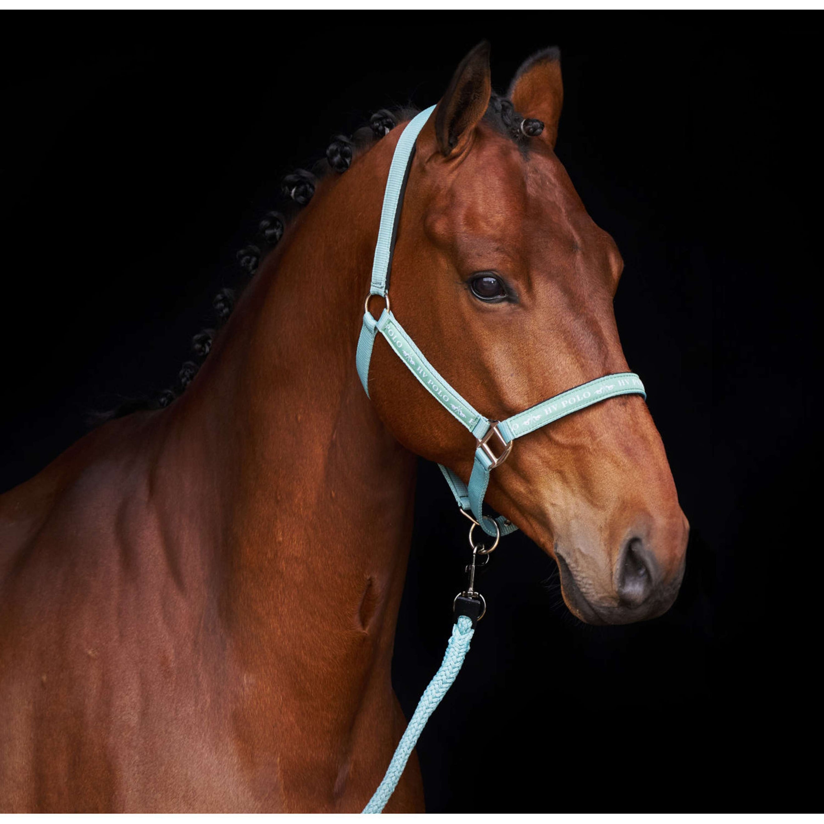 HV Polo Licol HVPNena Aqua Sky HV Polo Licol HVPNena Aqua Sky