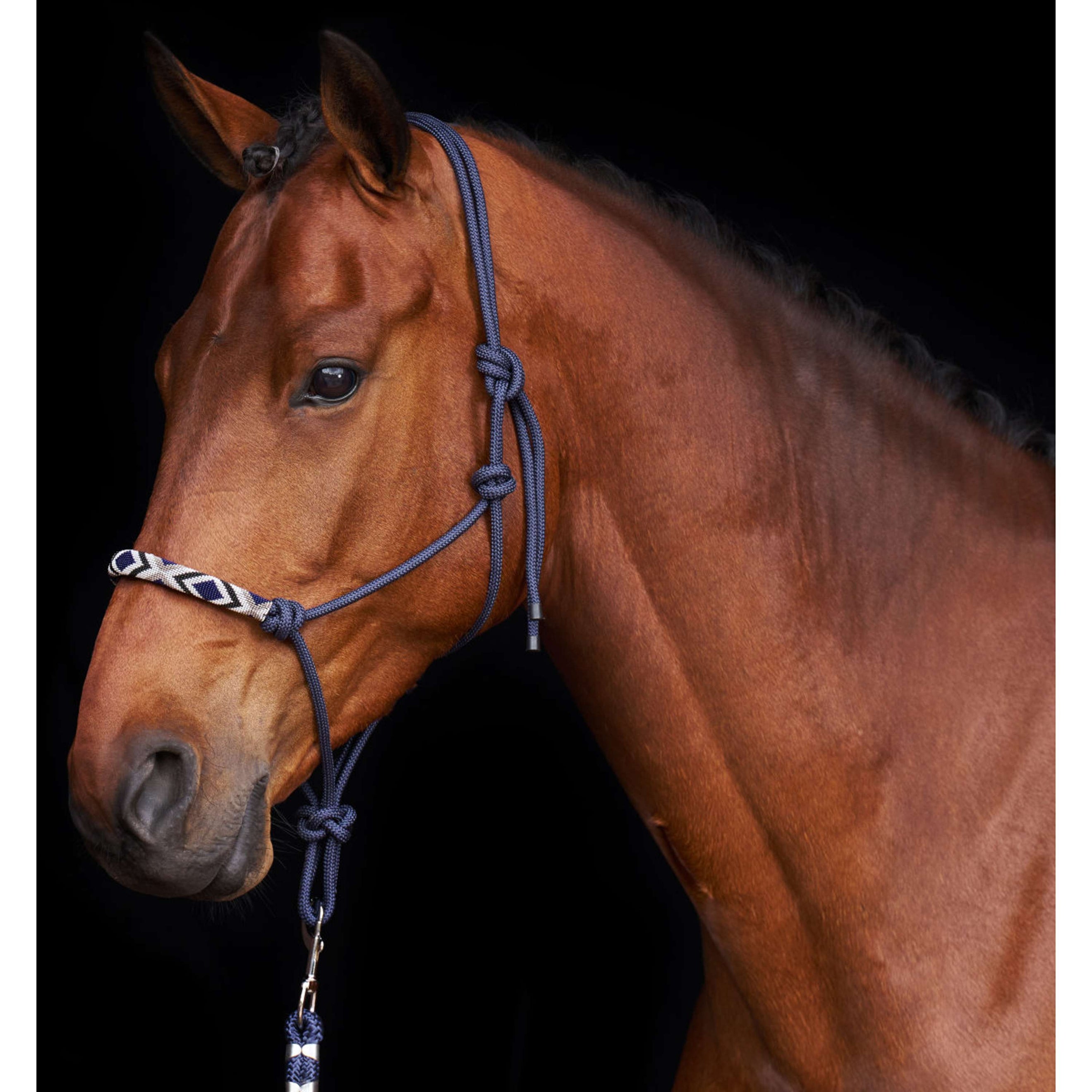 HV Polo Licol en Corde HVPLamu Marin HV Polo Licol en Corde HVPLamu Marin