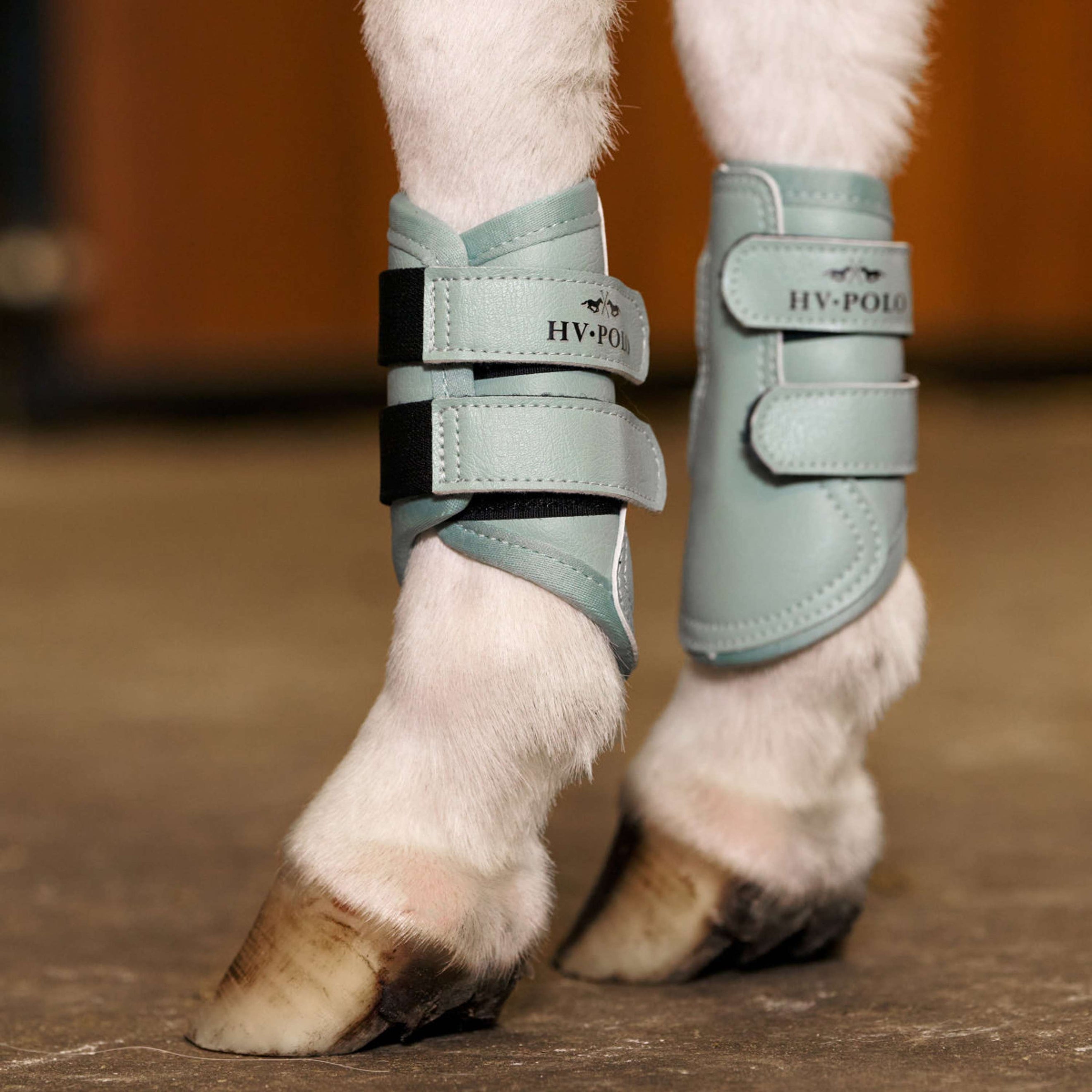 HV Polo Dressage Boots HVPSacha Aqua Sky HV Polo Dressage Boots HVPSacha Aqua Sky