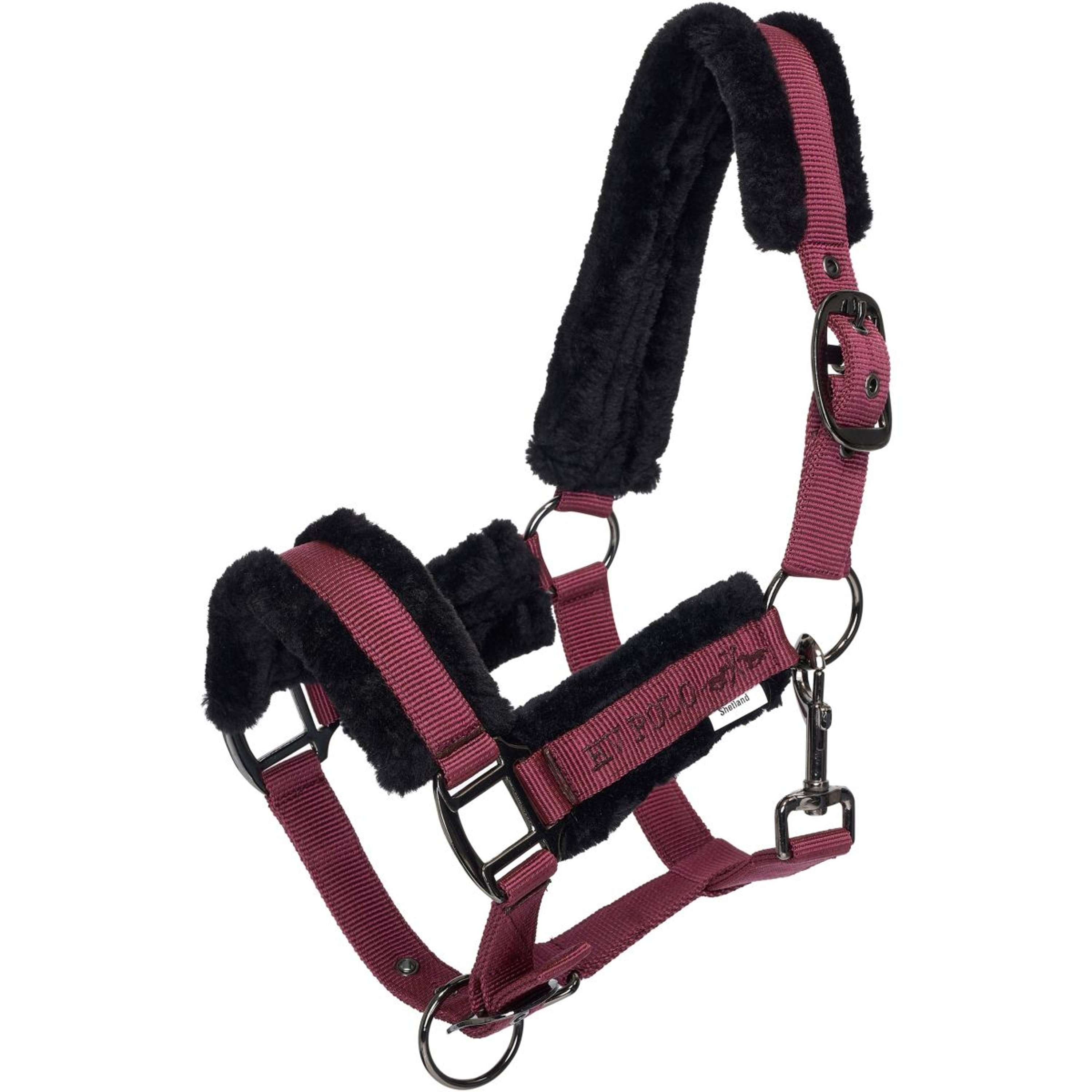 HV Polo Licol HVPSacha Wine