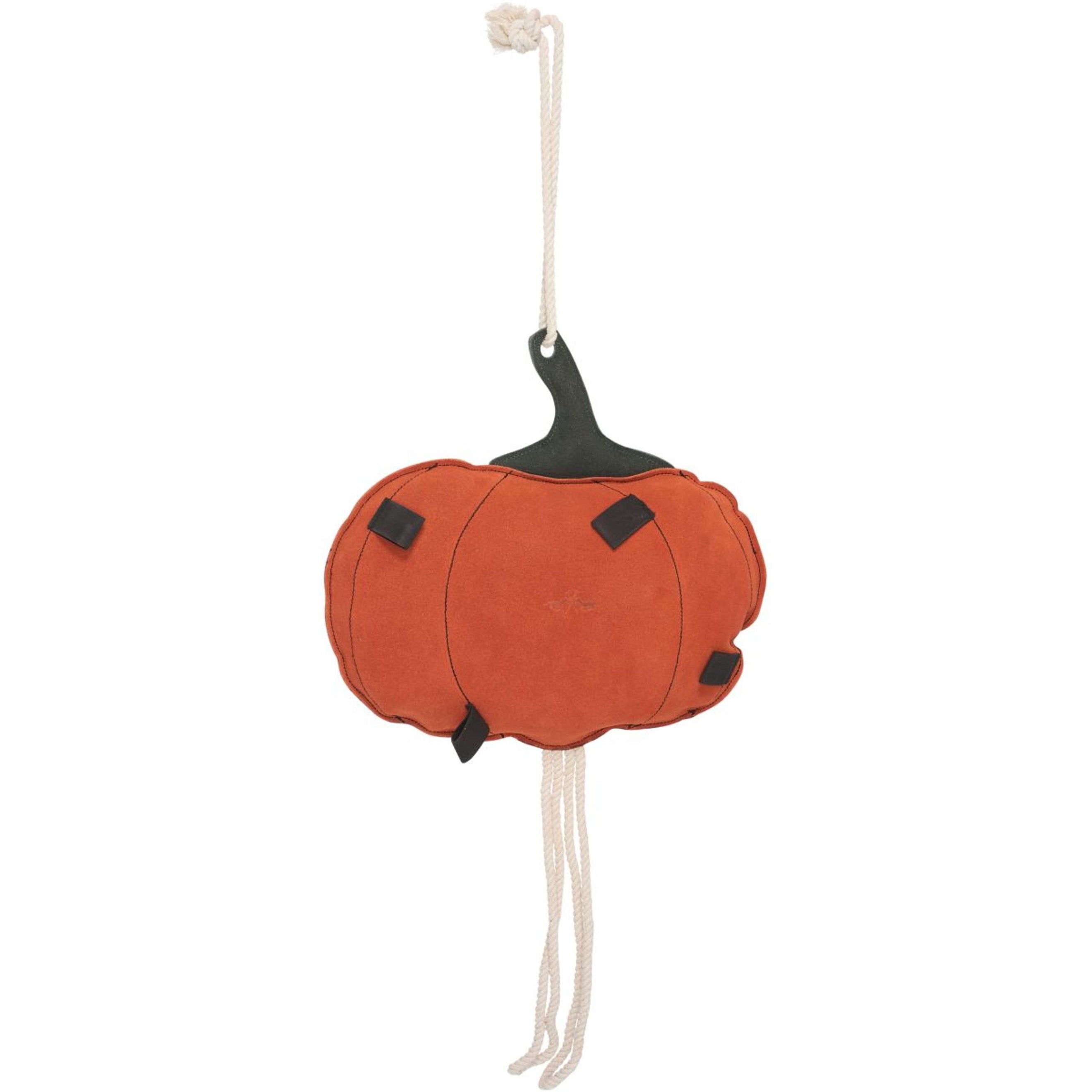 HV Polo Stable Buddy HVPPumpkin Citrouille HV Polo Stable Buddy HVPPumpkin Citrouille