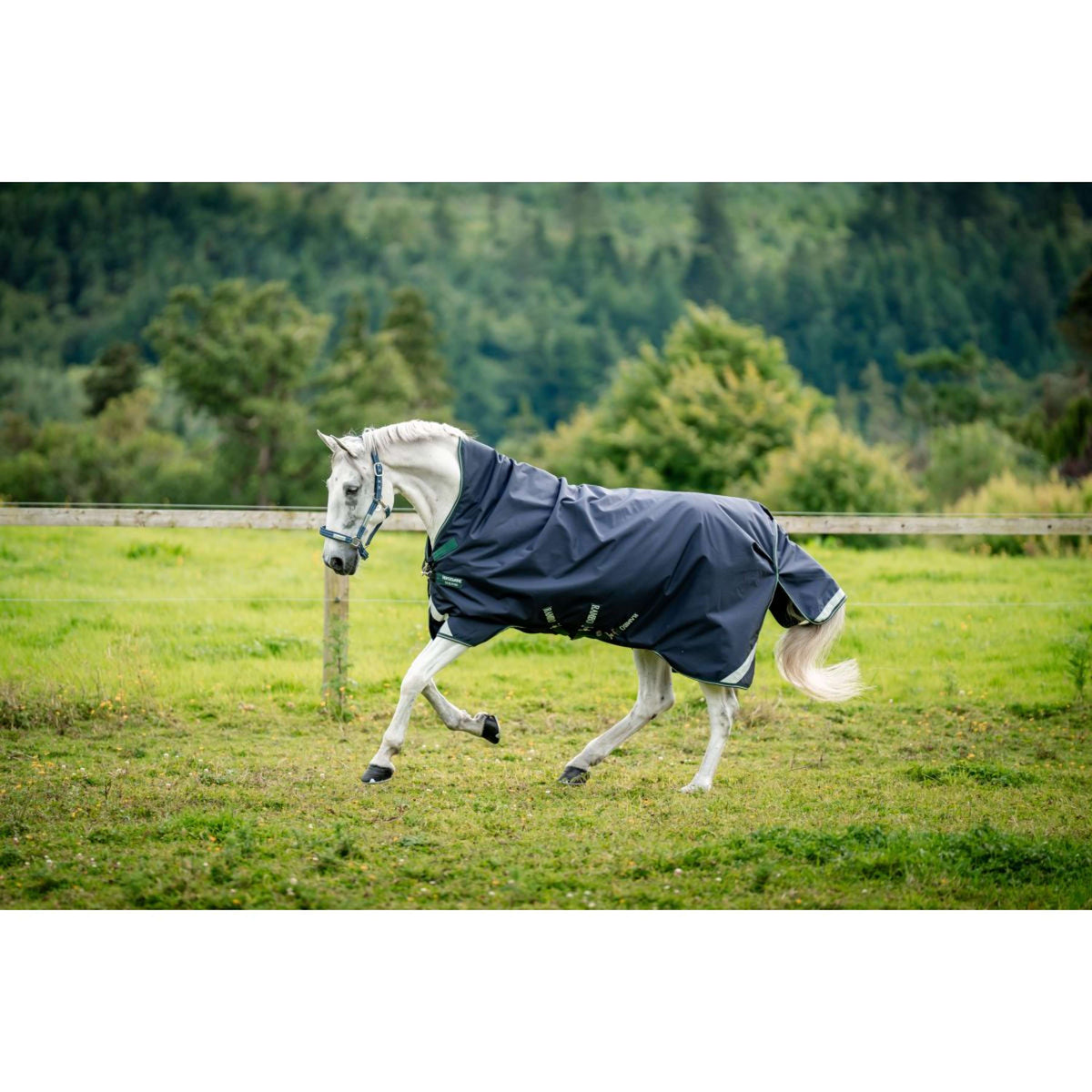 Rambo Wug Turnout Lite 50g Navy/Hunter Green