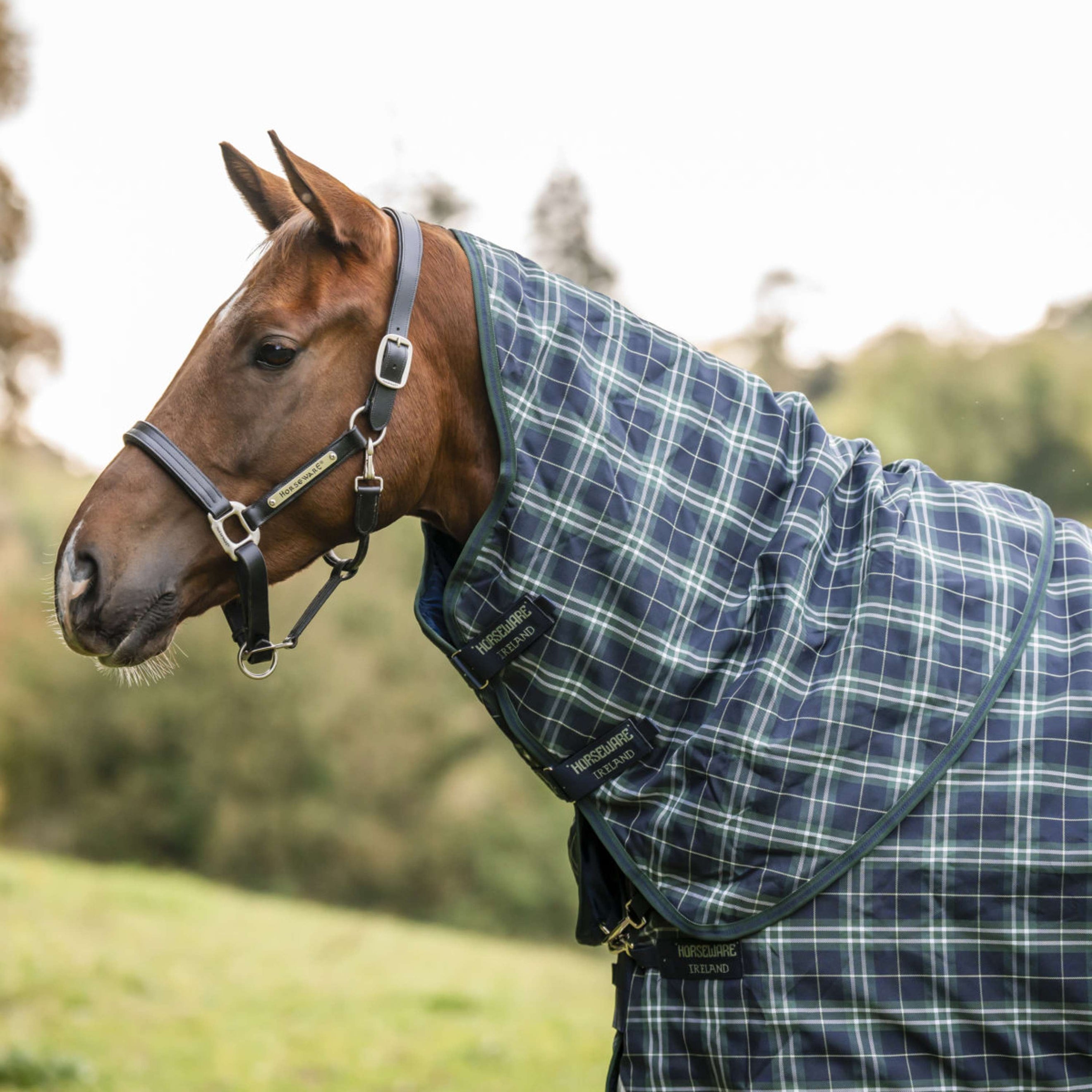 Rhino Couvre-Cou Turnout 0g Hunter Check/Green/Navy