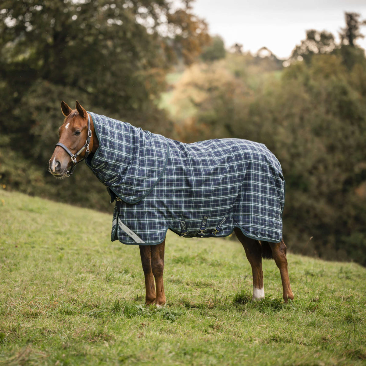 Rhino Couvre-Cou Turnout 150g Hunter Check/Green/Navy