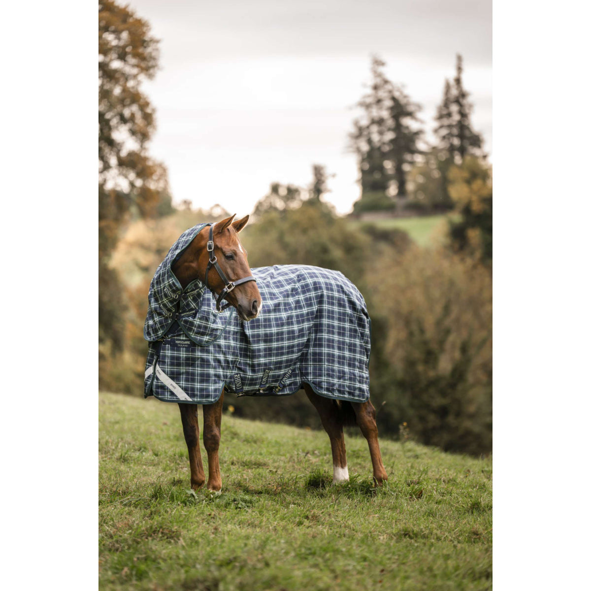 Rhino Couvre-Cou Turnout 150g Hunter Check/Green/Navy