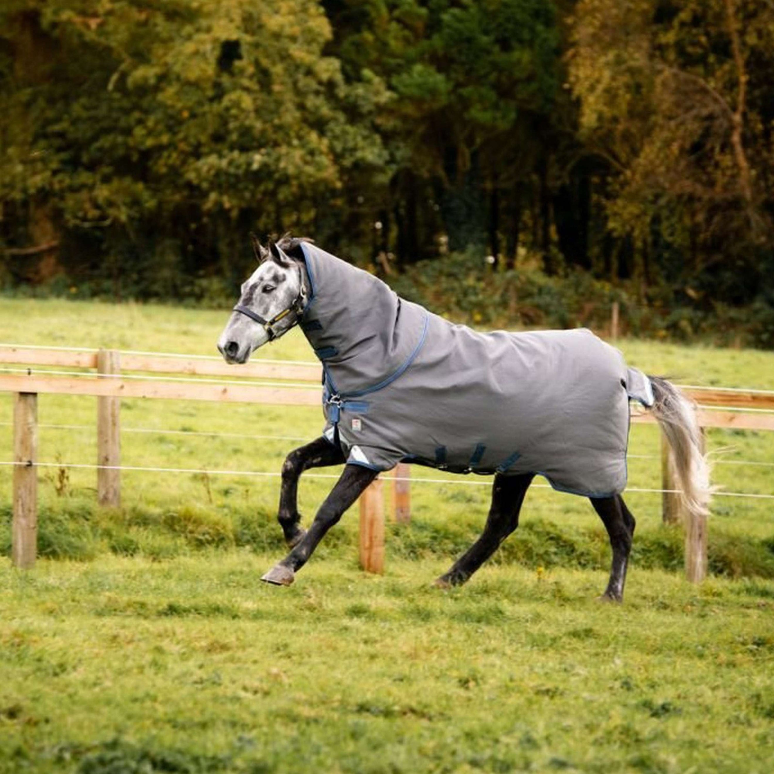Rhino Plus Hextop VL 0g Grey/Indigo/Navy