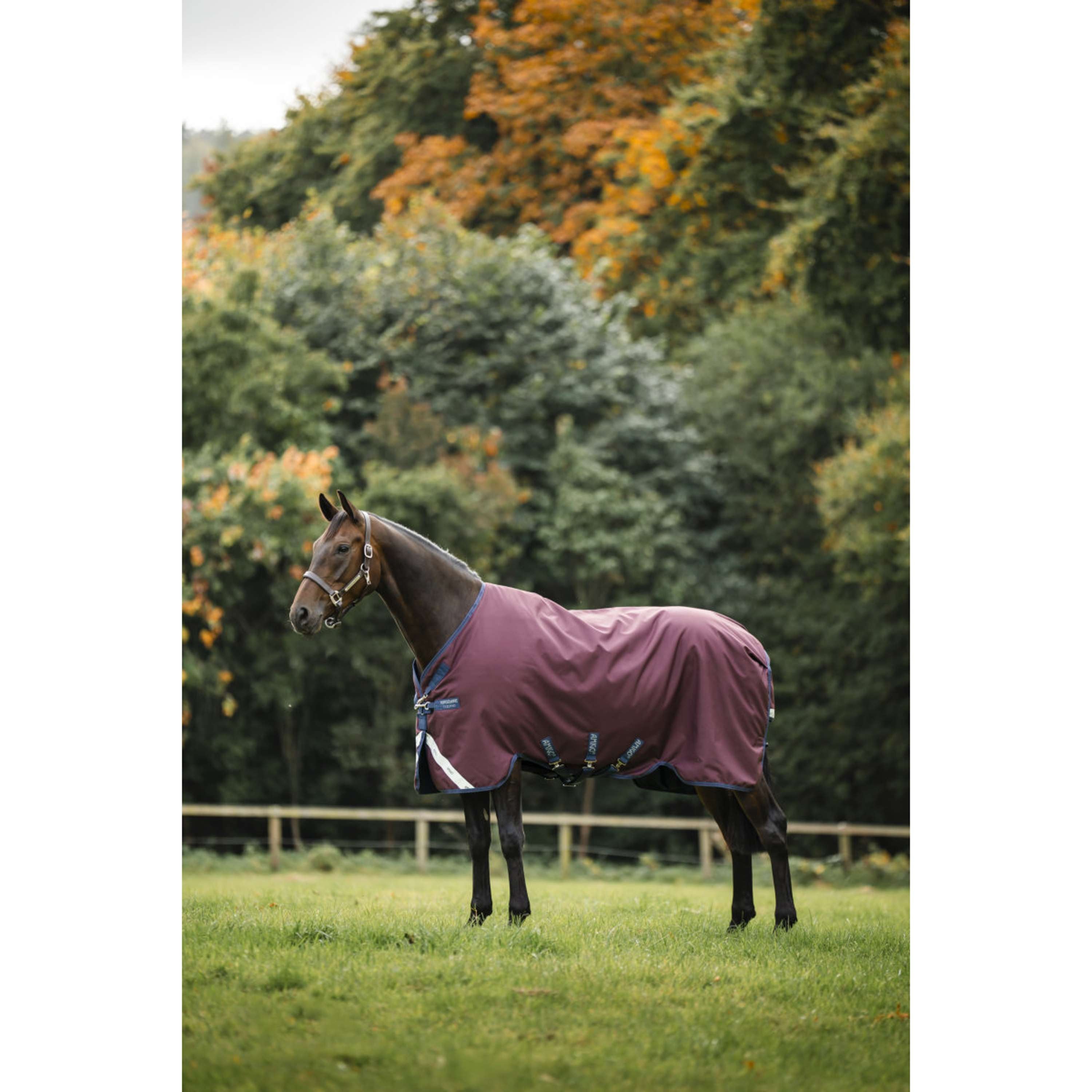 Amigo Turnout 1200D 0g Burgundy/Navy/Titanium Grey