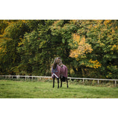 Amigo Turnout 1200D 100g Burgundy/Navy/Titanium Grey