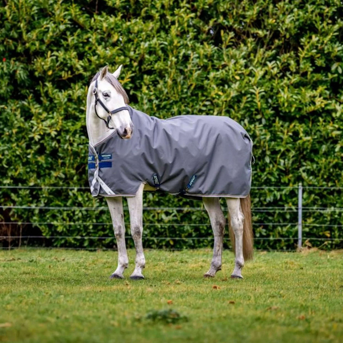 Amigo Couverture Turnout Bravo 100g Shadow/Navy/Lime