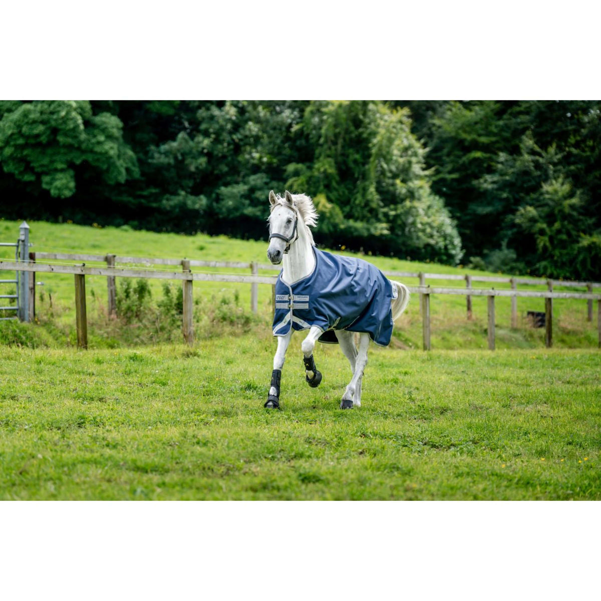 Amigo Turnout Medium Bravo 12 250g Navy/Titanium Grey