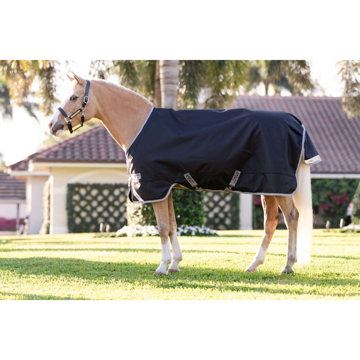 Amigo Chemise Turnout 1200D Pony 0g Noir/Gris Titane/Argent