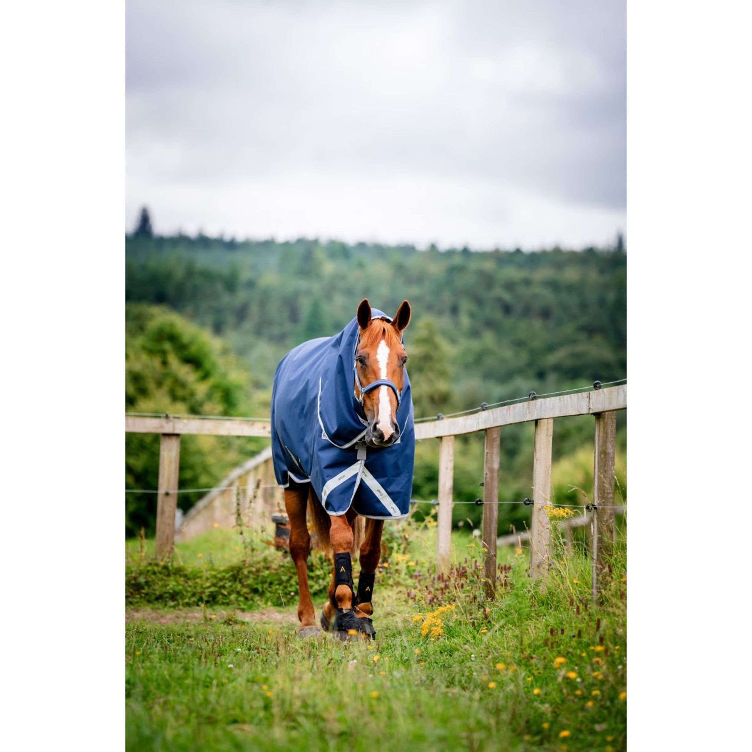 Amigo Bravo 12 Plus T/O Medium 250g Navy/Titanium Grey Amigo Bravo 12 Plus T/O Medium 250g Navy/Titanium Grey