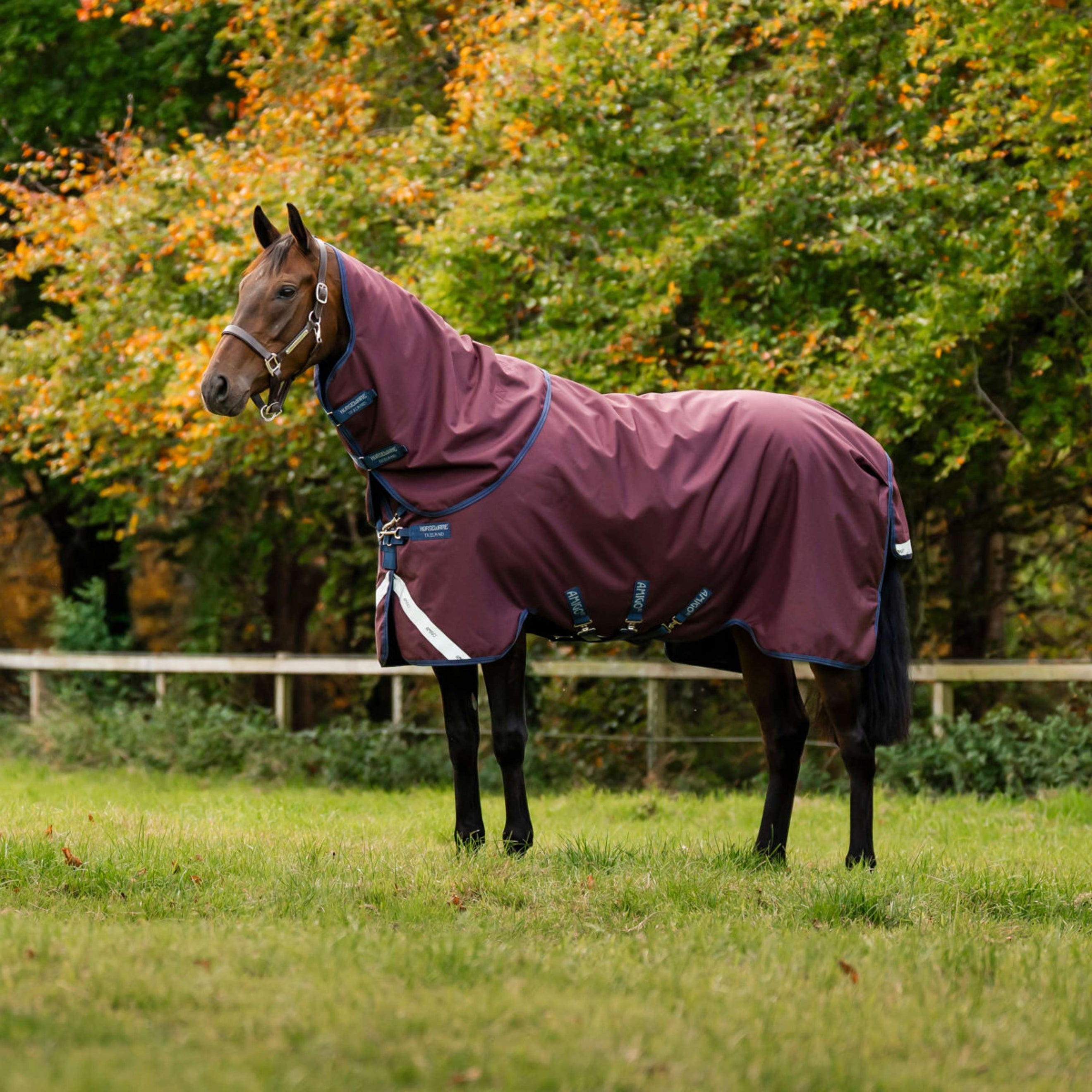 Amigo Turnout Plus 1200D 250g Burgundy/Navy/Titanium Grey