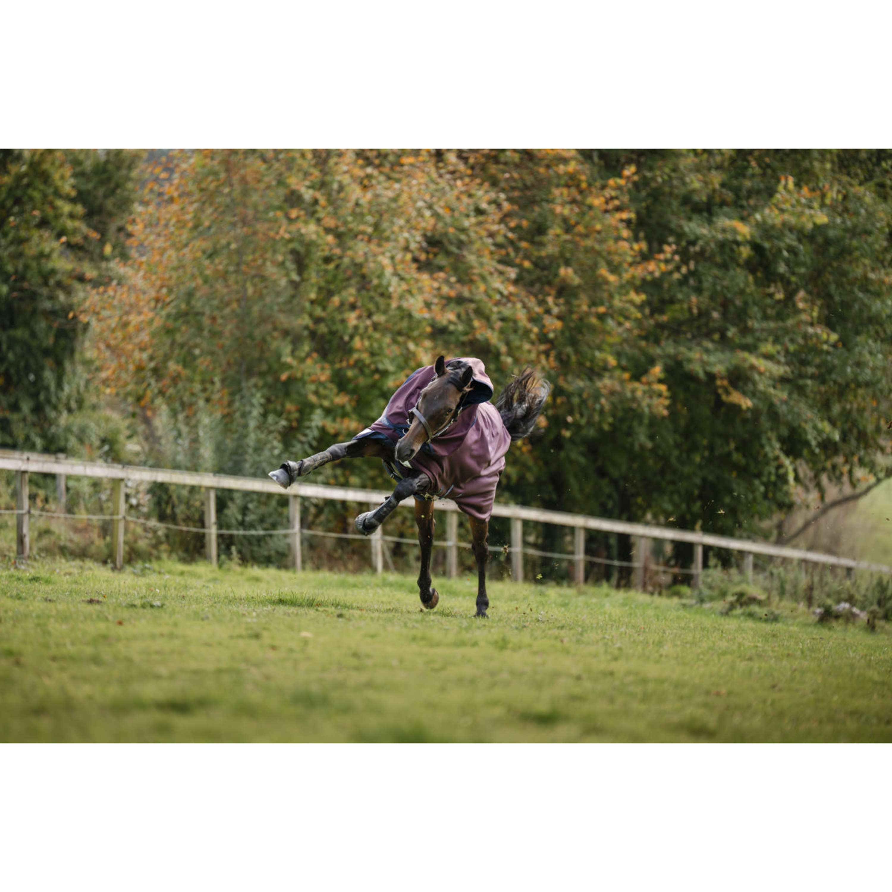 Amigo Turnout Plus 1200D 400g Burgundy/Navy/Titanium Grey