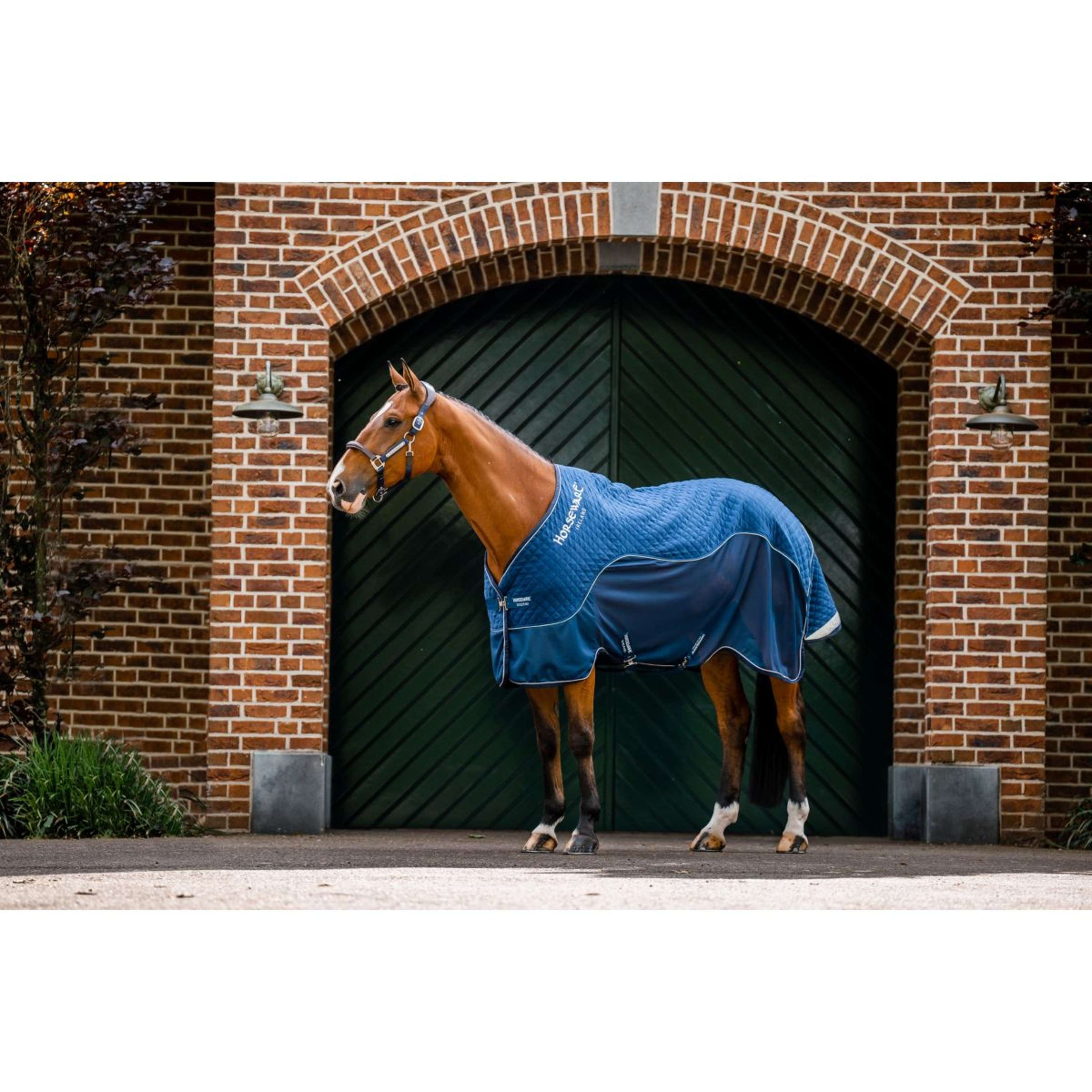 Horseware Travel Cooler Signature Marin