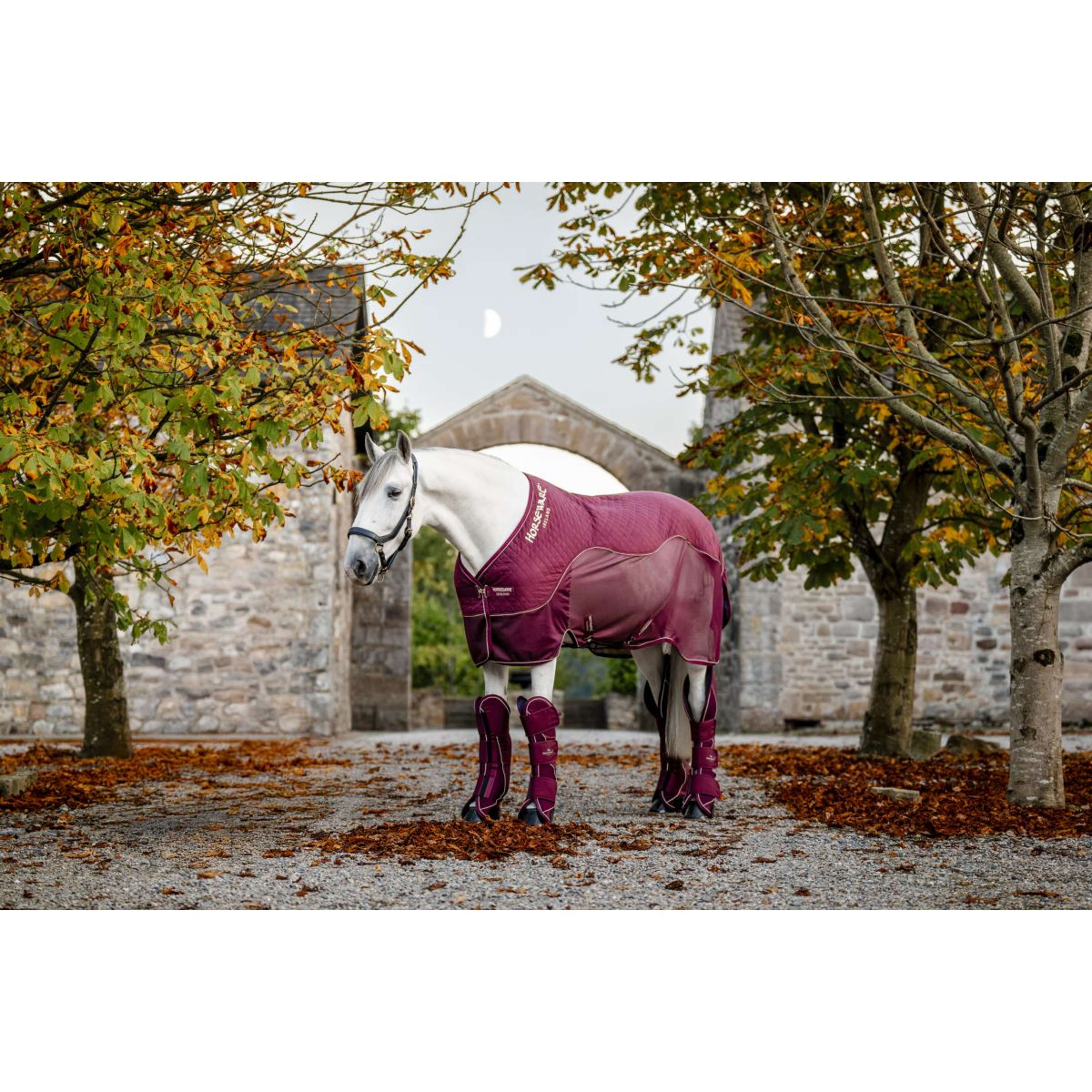 Horseware Travel Cooler Signature Bordeaux