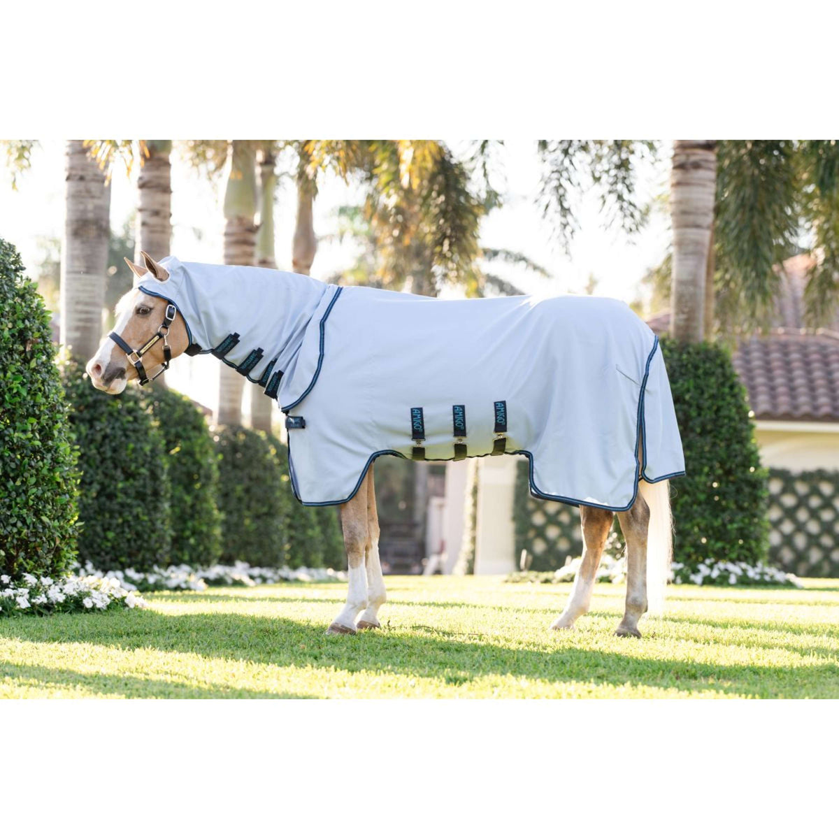 Amigo Ripstop Hoody Pony Azure Blue/Navy/Electric Blue