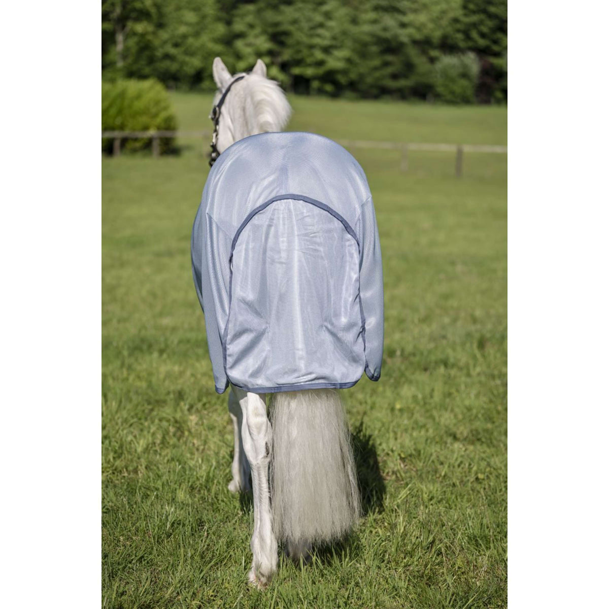 Amigo Couverture Anti-Mouches Plus Pony Heather Blue/Blue/Silver