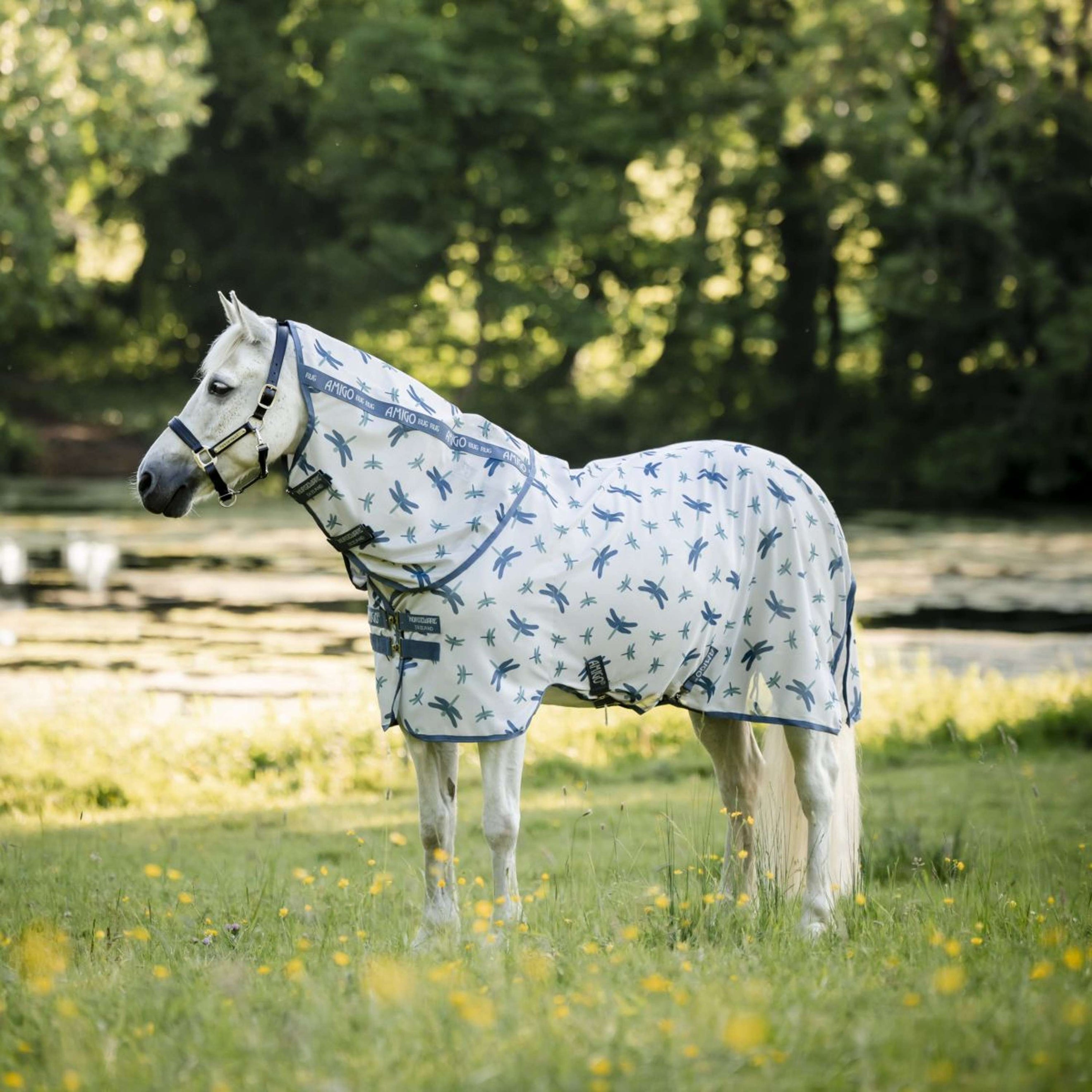 Amigo Couverture Anti-Mouches Plus Pony Dragonfly Print/Silver/Blue/Sage