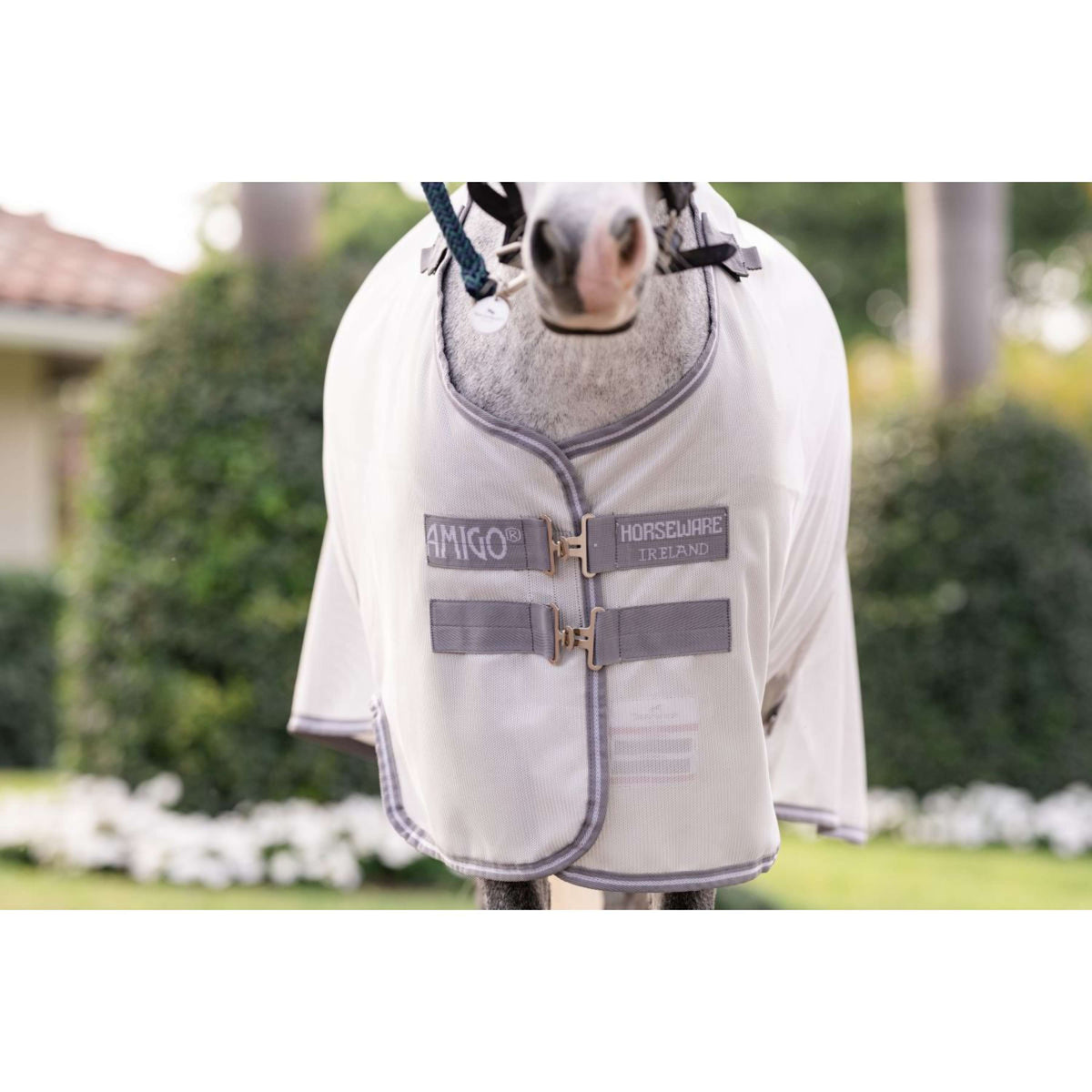 Amigo Bug Rug Plus Pony Argent/Gris Titane/Argent