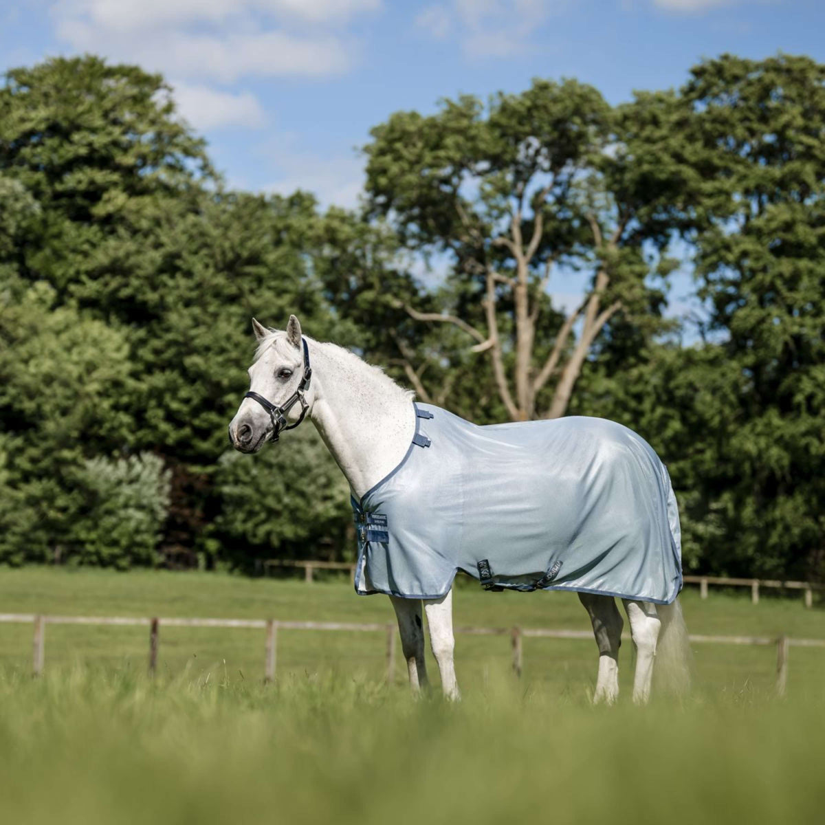 Amigo Couverture Anti-Mouches Pony Heather Blue/Blue/Silver