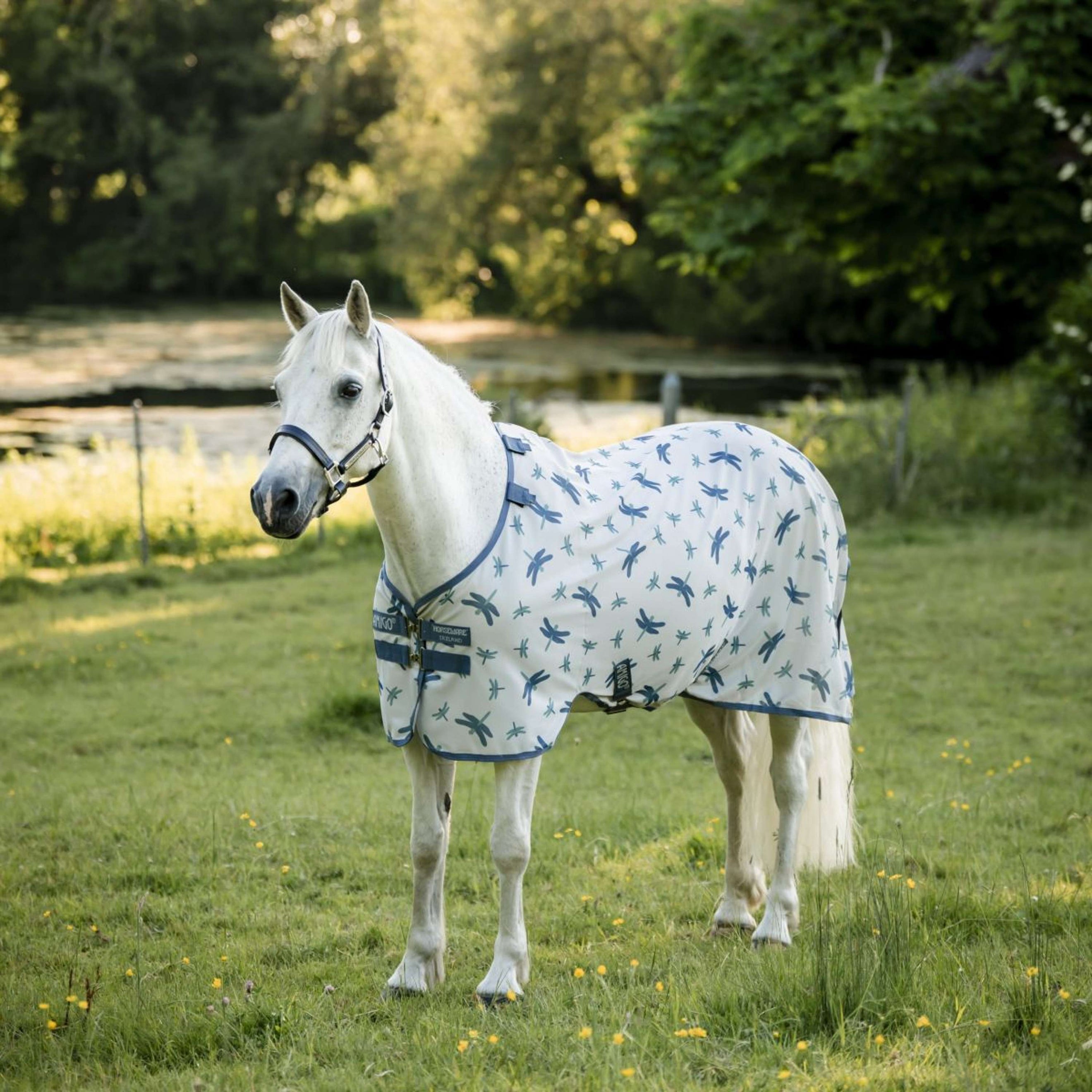 Amigo Couverture Anti-Mouches Pony Dragonfly Print/Silver/Blue/Sage