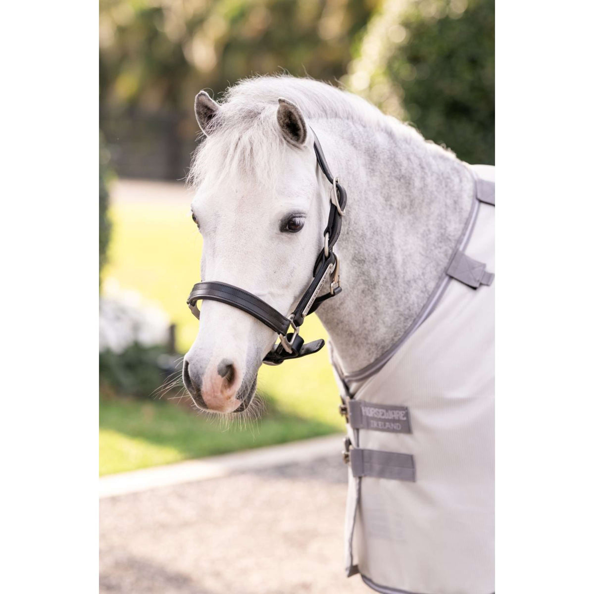 Amigo Bug Rug Pony Argent/Gris Titane/Argent