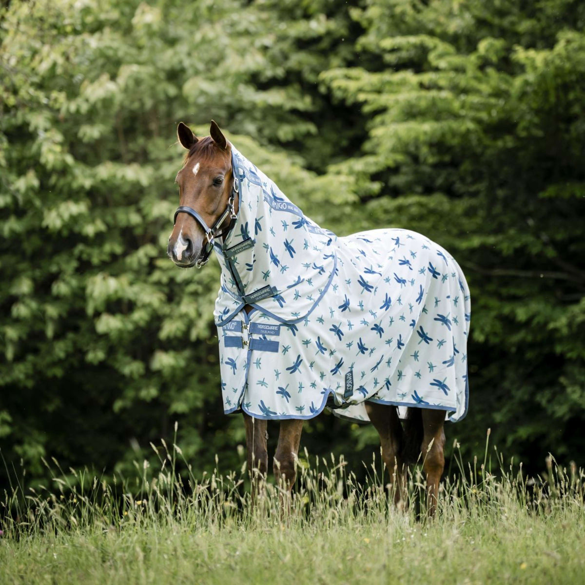 Amigo Couvre-Cou Bug Rug Dragonfly Print/Silver/Blue/Sage