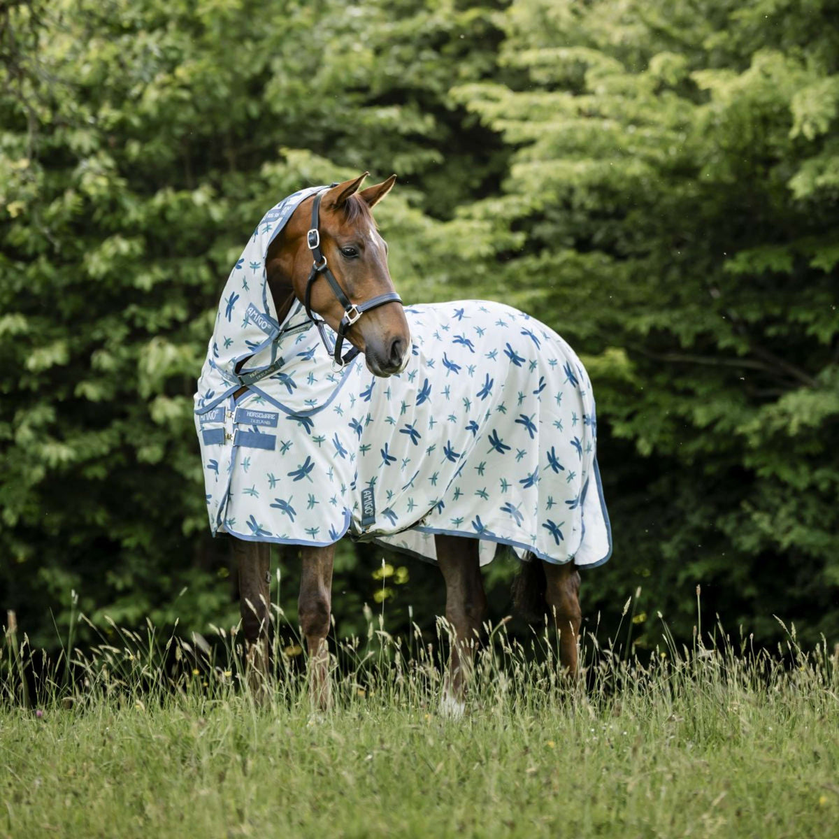 Amigo Couvre-Cou Bug Rug Dragonfly Print/Silver/Blue/Sage