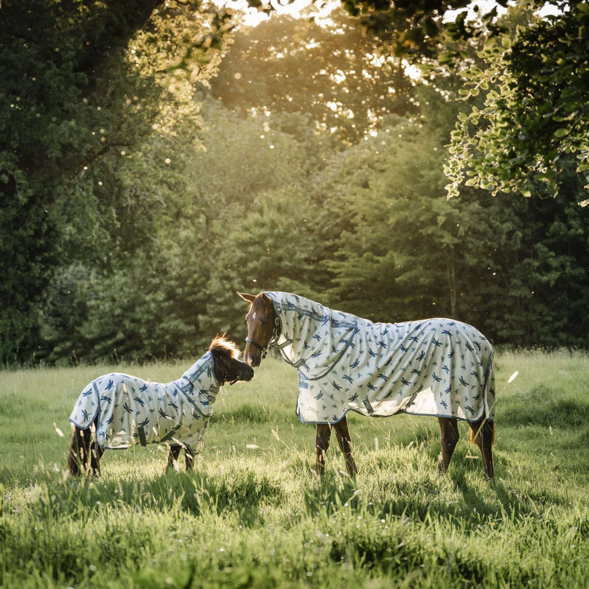 Amigo Couverture Anti-Mouches Plus Dragonfly Print/Silver/Blue/Sage